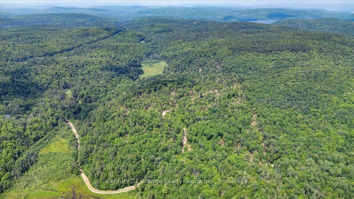 0 Airport Road • Highlands East, ON photo 4