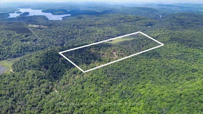 0 Airport Road • Highlands East, ON photo 8
