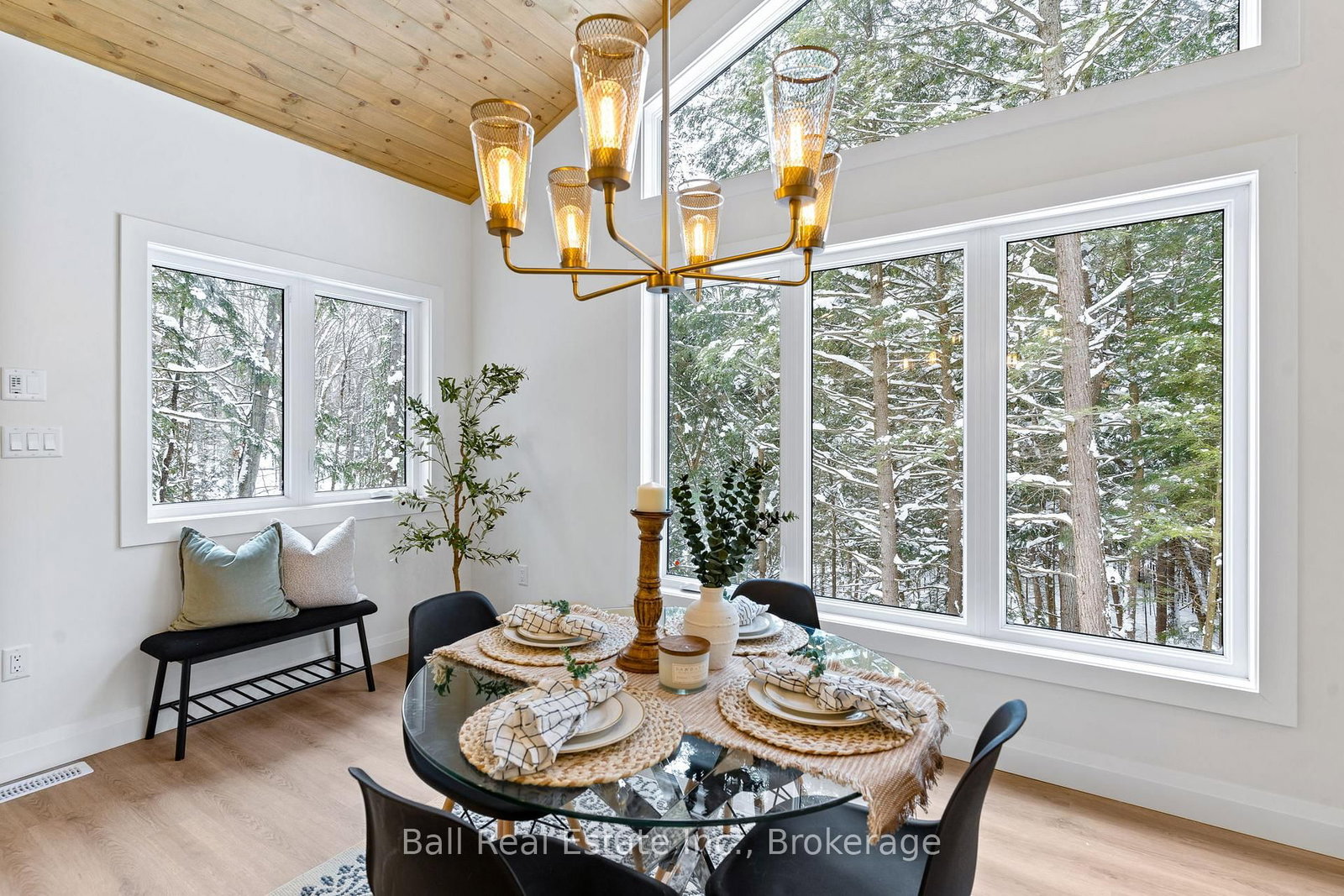180 Lakeview Street • Dysart et al, ON photo 6