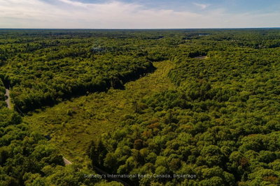 0 DUDLEY Road • Muskoka Lakes, ON photo 2