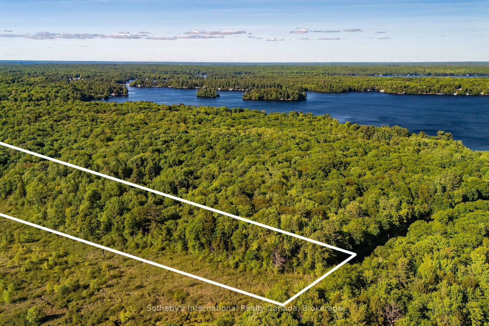 0 DUDLEY Road • Muskoka Lakes, ON photo 3