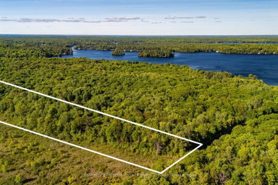 0 DUDLEY Road • Muskoka Lakes, ON photo 3