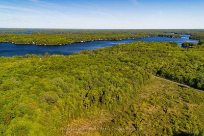 0 DUDLEY Road • Muskoka Lakes, ON photo 6
