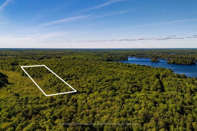 0 DUDLEY Road • Muskoka Lakes, ON photo 7