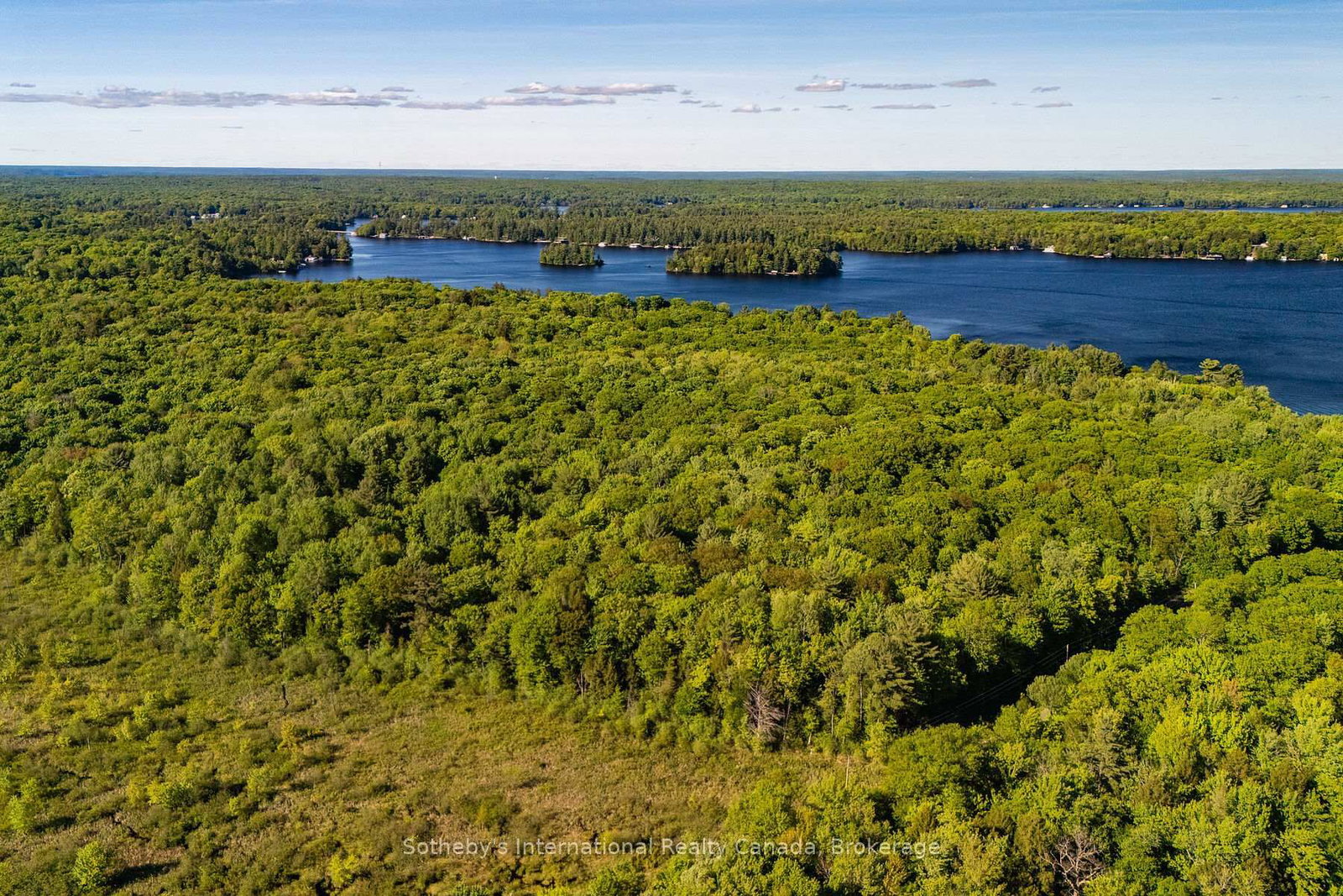 0 DUDLEY Road • Muskoka Lakes, ON photo 8