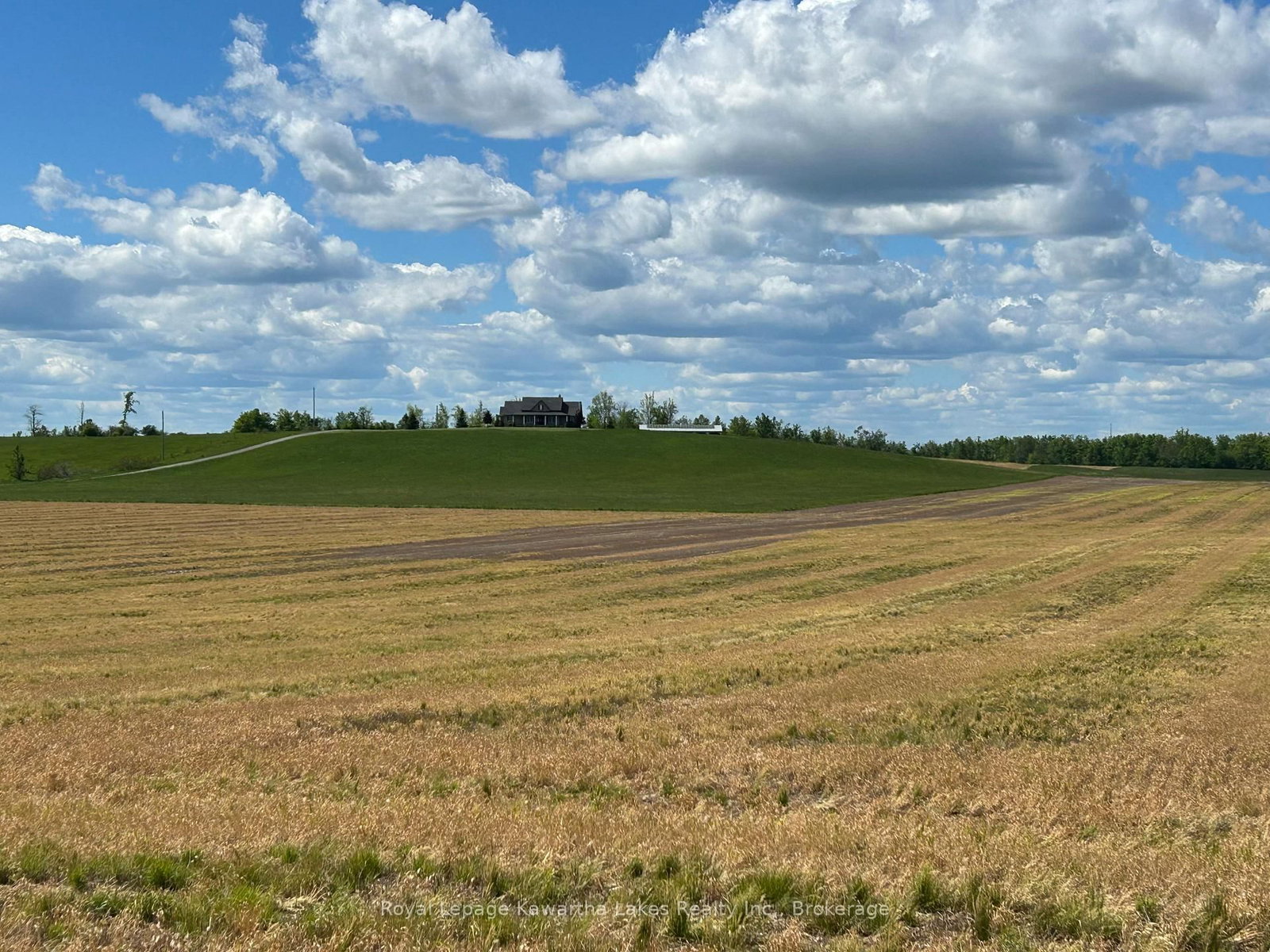 431 Meadowview Road • Kawartha Lakes, ON photo 10