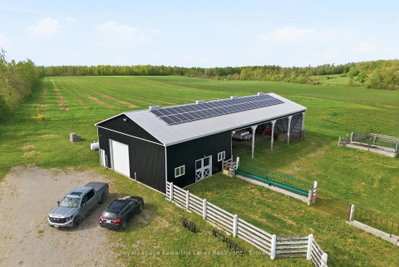 431 Meadowview Road • Kawartha Lakes, ON photo 6