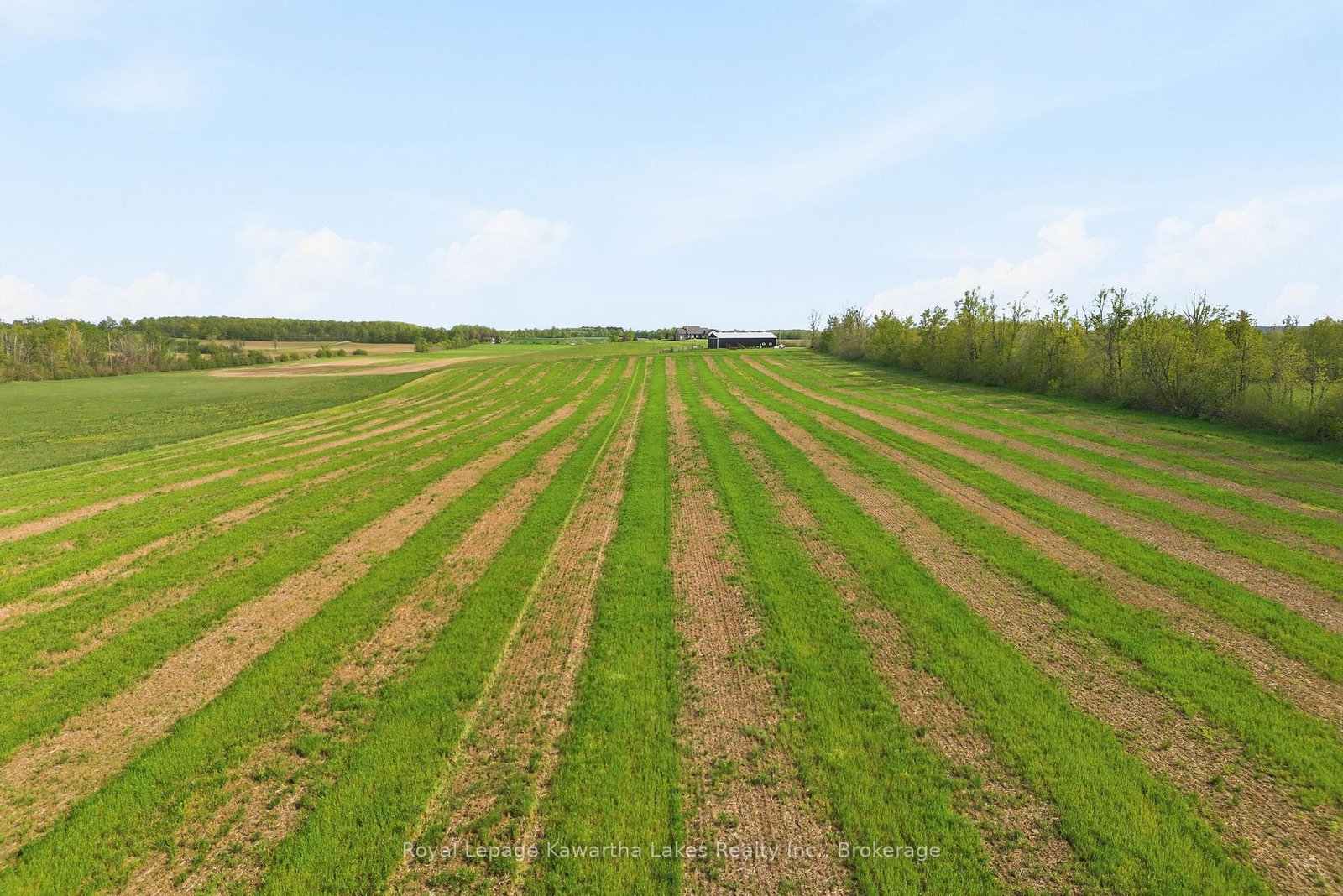 431 Meadowview Road • Kawartha Lakes, ON photo 9