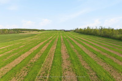 431 Meadowview Road • Kawartha Lakes, ON photo 9