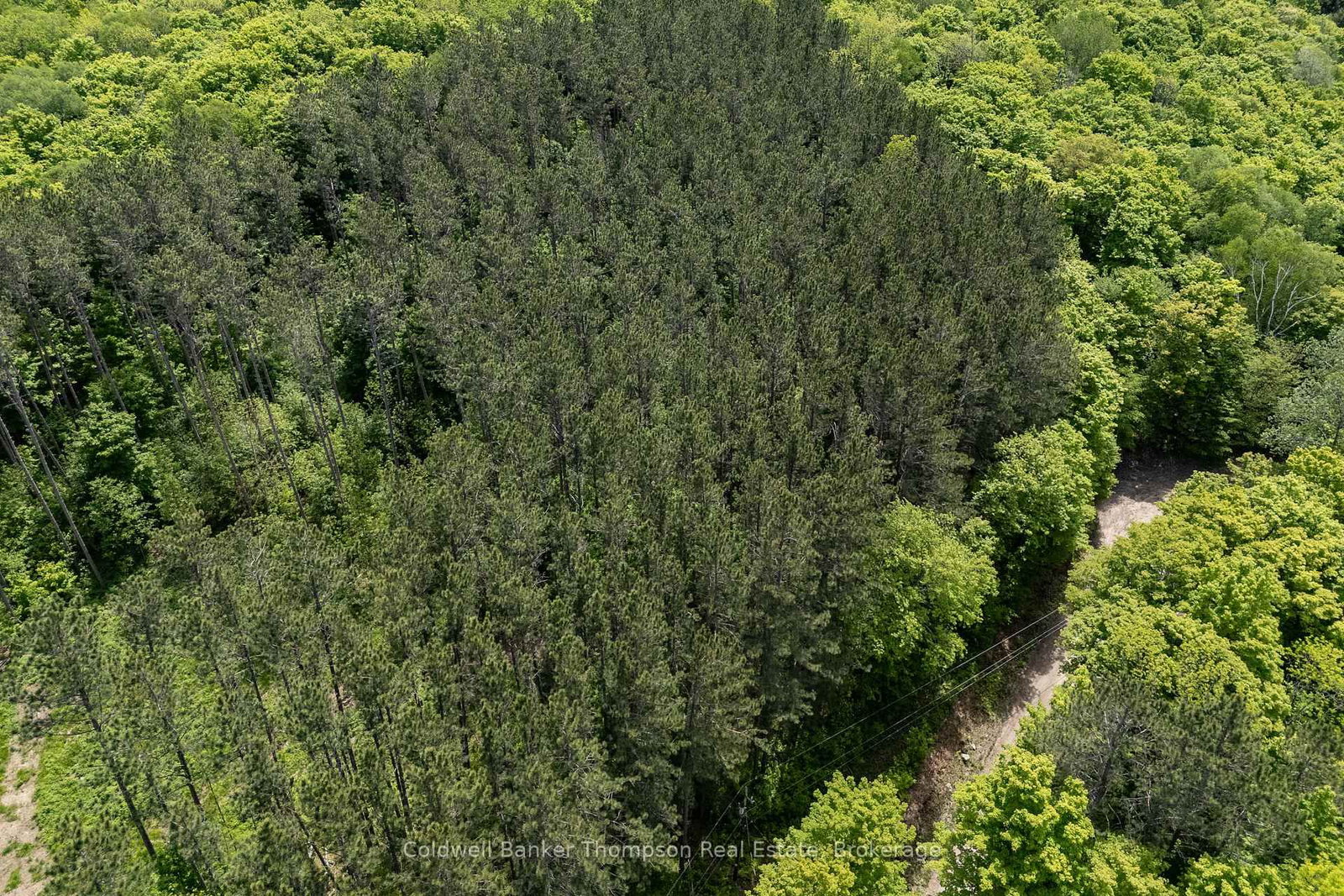 00 Snowshoe Lane • Armour, ON photo 10