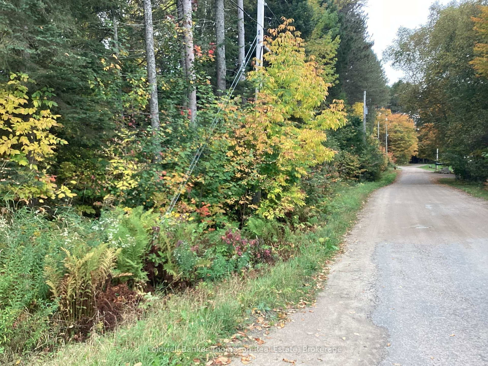 00 Snowshoe Lane • Armour, ON photo 4