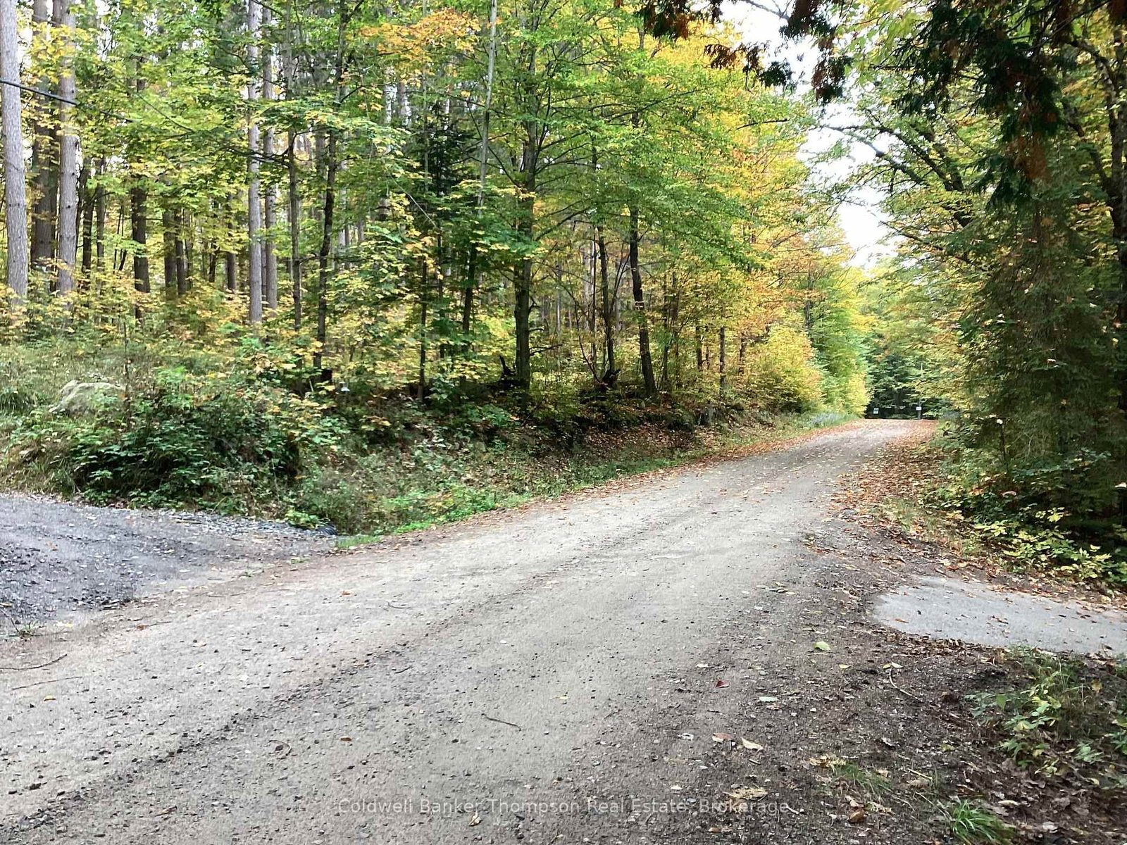 00 Snowshoe Lane • Armour, ON photo 7