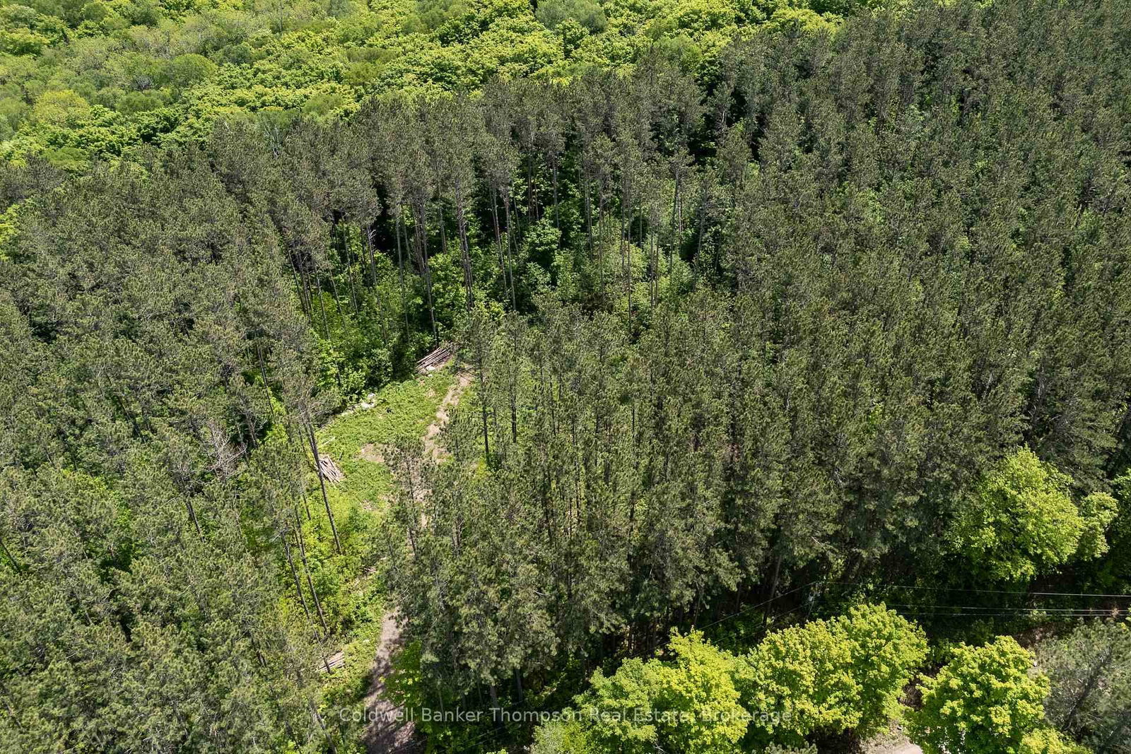 00 Snowshoe Lane • Armour, ON photo 8