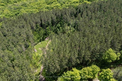 00 Snowshoe Lane • Armour, ON photo 8