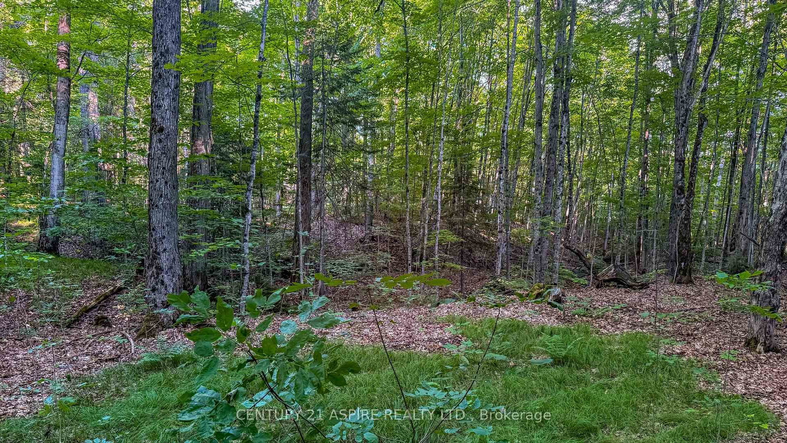 110 Pells Lane - Photo 8