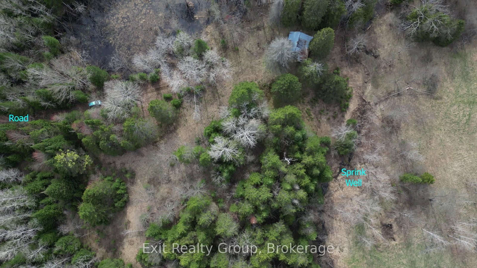 3606 County Road 620 • North Kawartha, ON photo 10