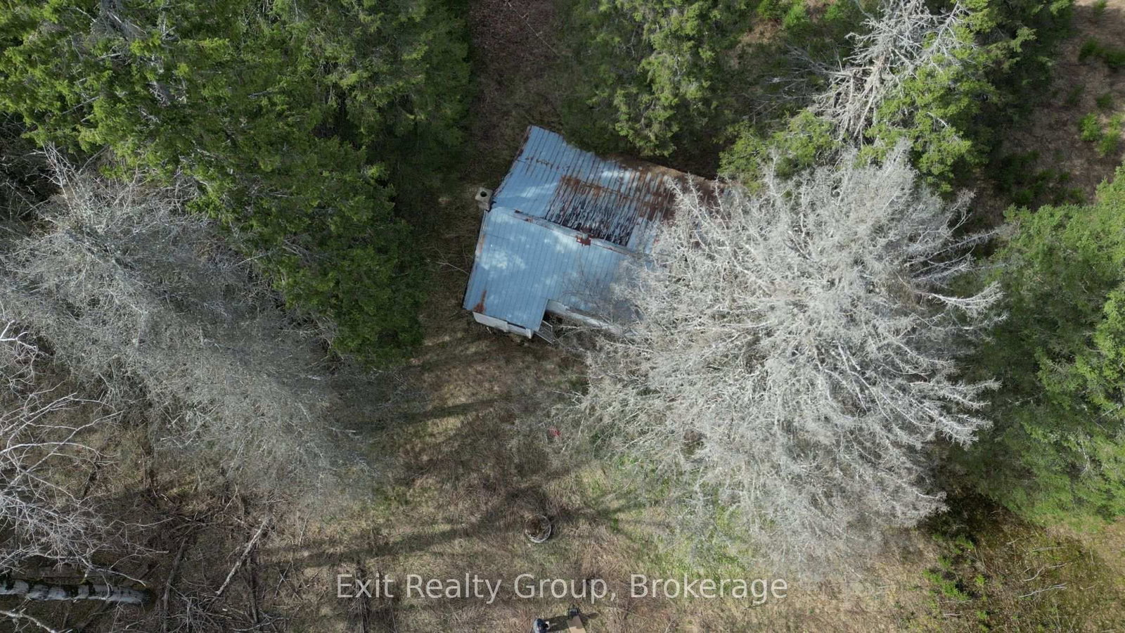 3606 County Road 620 • North Kawartha, ON photo 8
