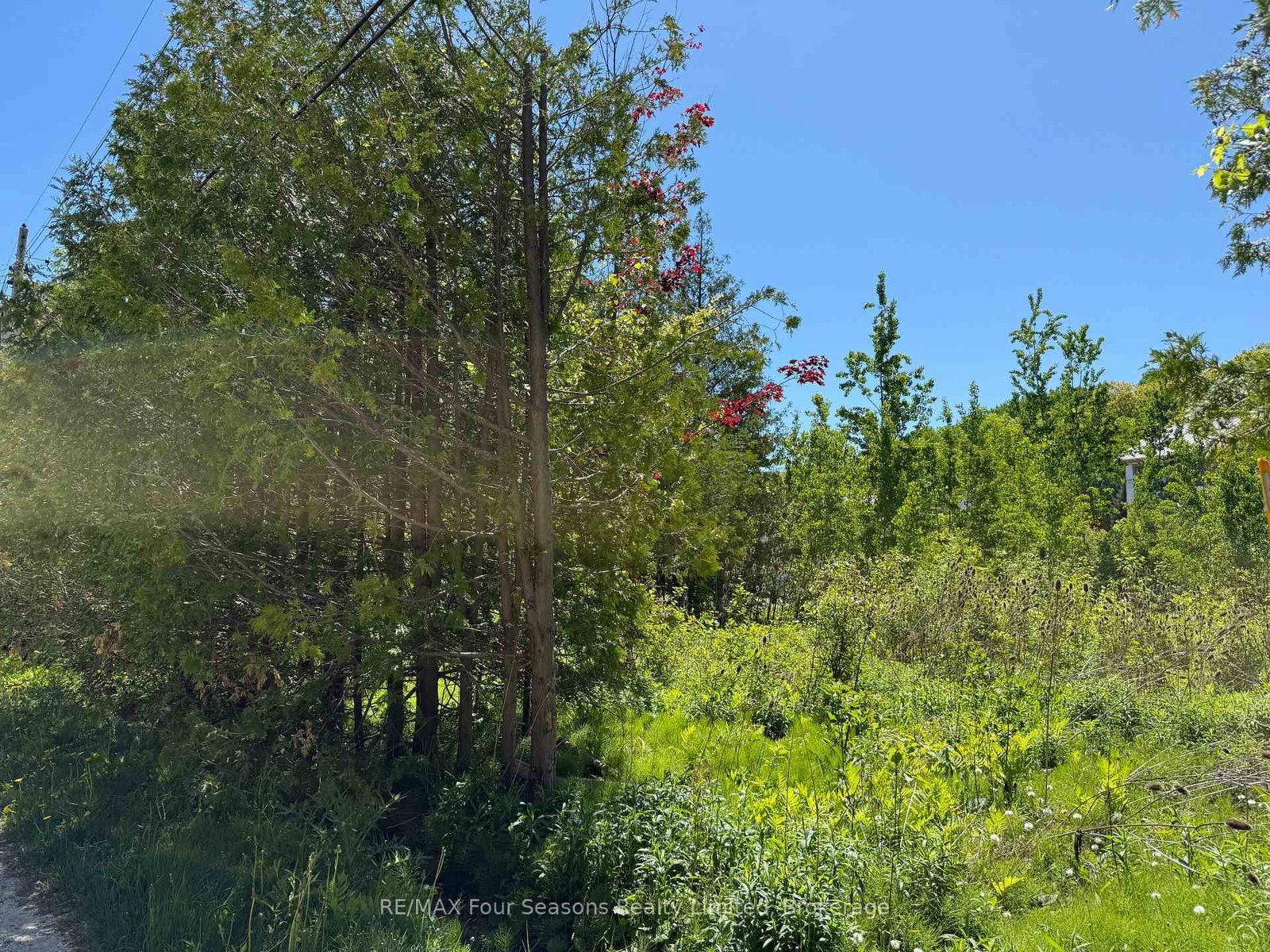 122 JAMES Street • Blue Mountains, ON photo 11