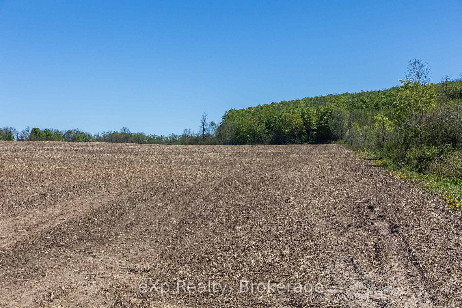 157659 7th Line • Meaford, ON photo 24