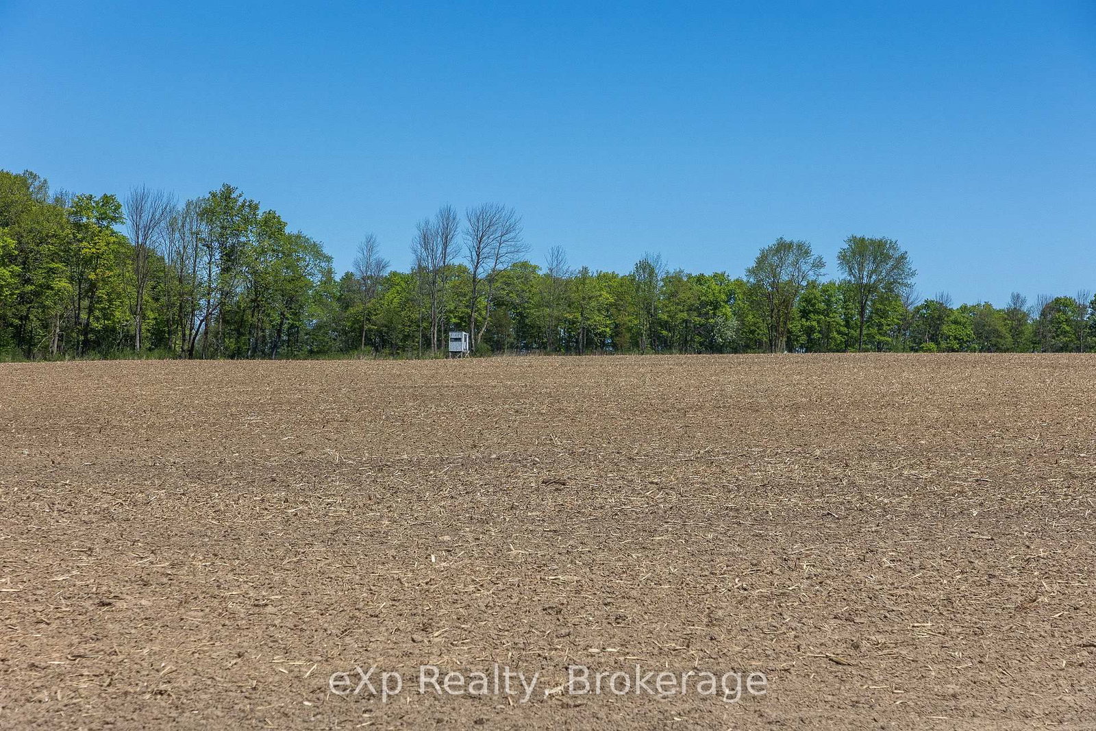 157659 7th Line • Meaford, ON photo 25