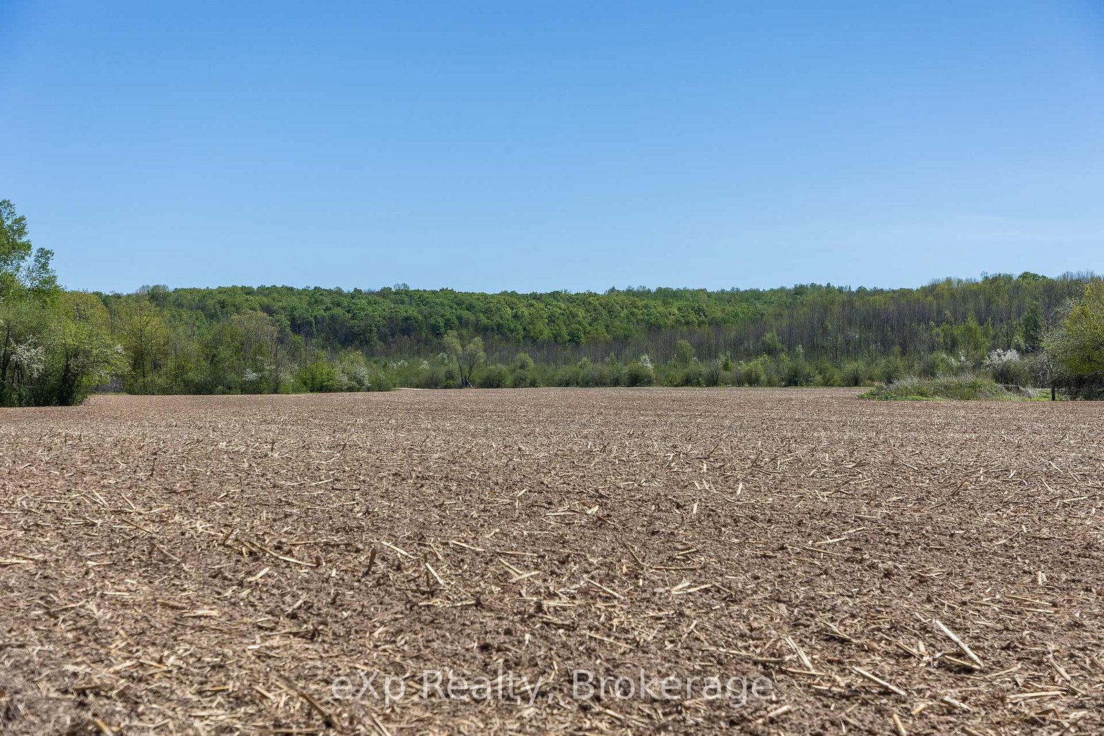 157659 7th Line • Meaford, ON photo 26