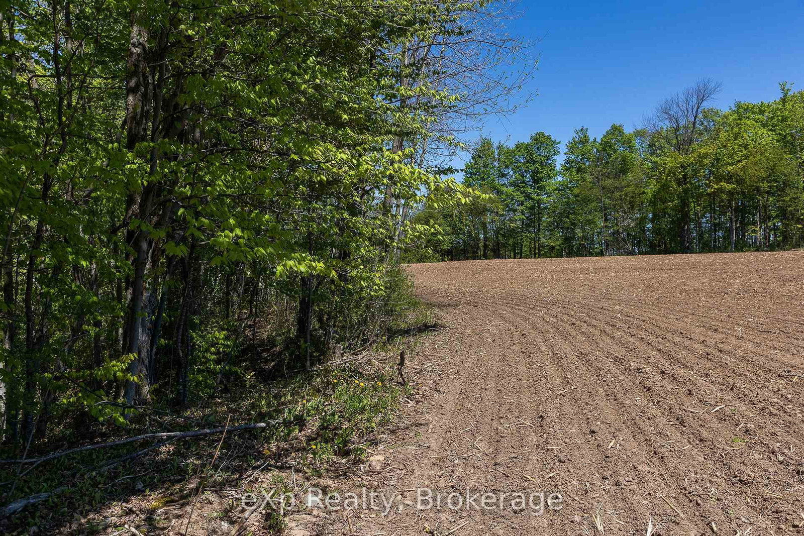 157659 7th Line • Meaford, ON photo 29