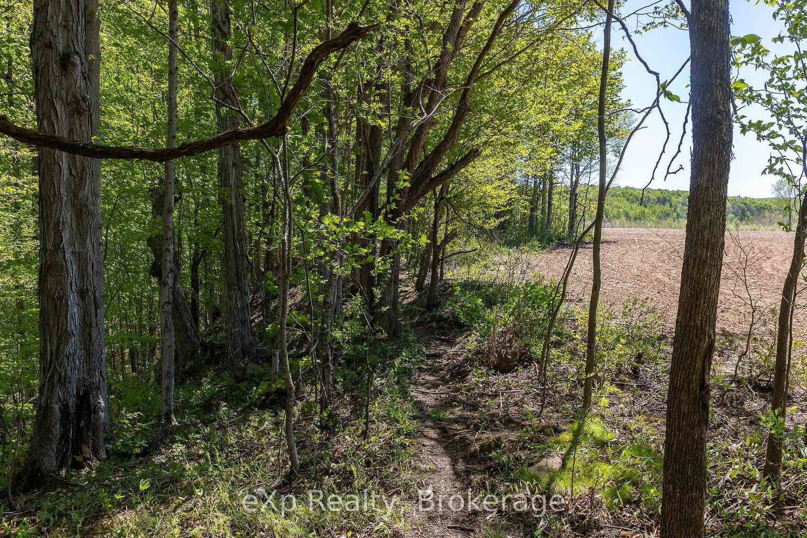 157659 7th Line • Meaford, ON photo 30