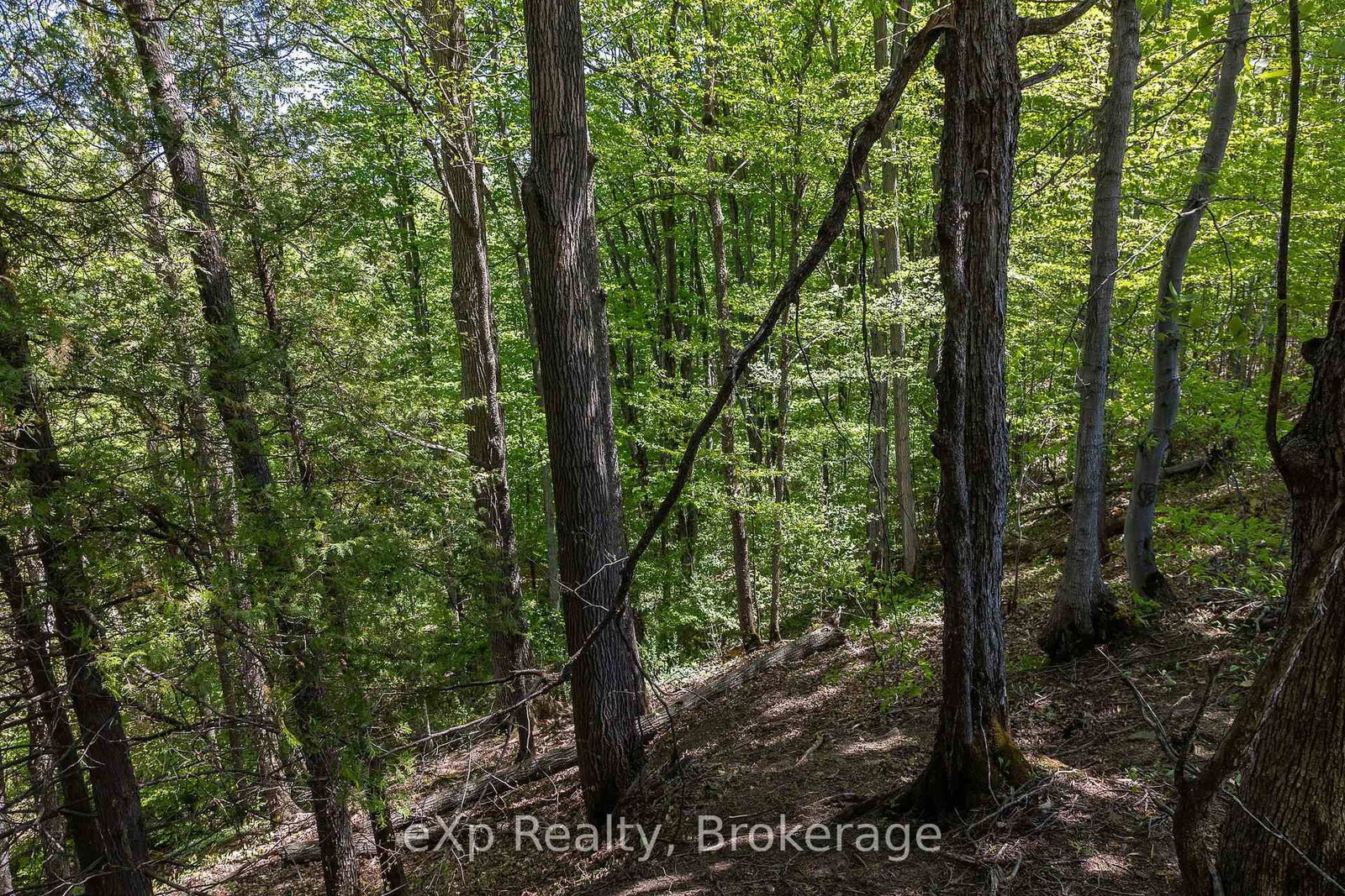 157659 7th Line • Meaford, ON photo 32