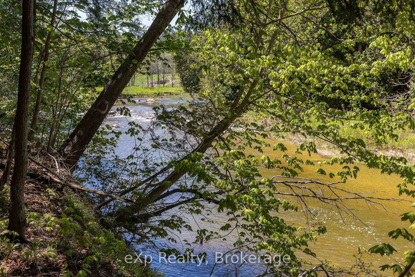 157659 7th Line • Meaford, ON photo 39