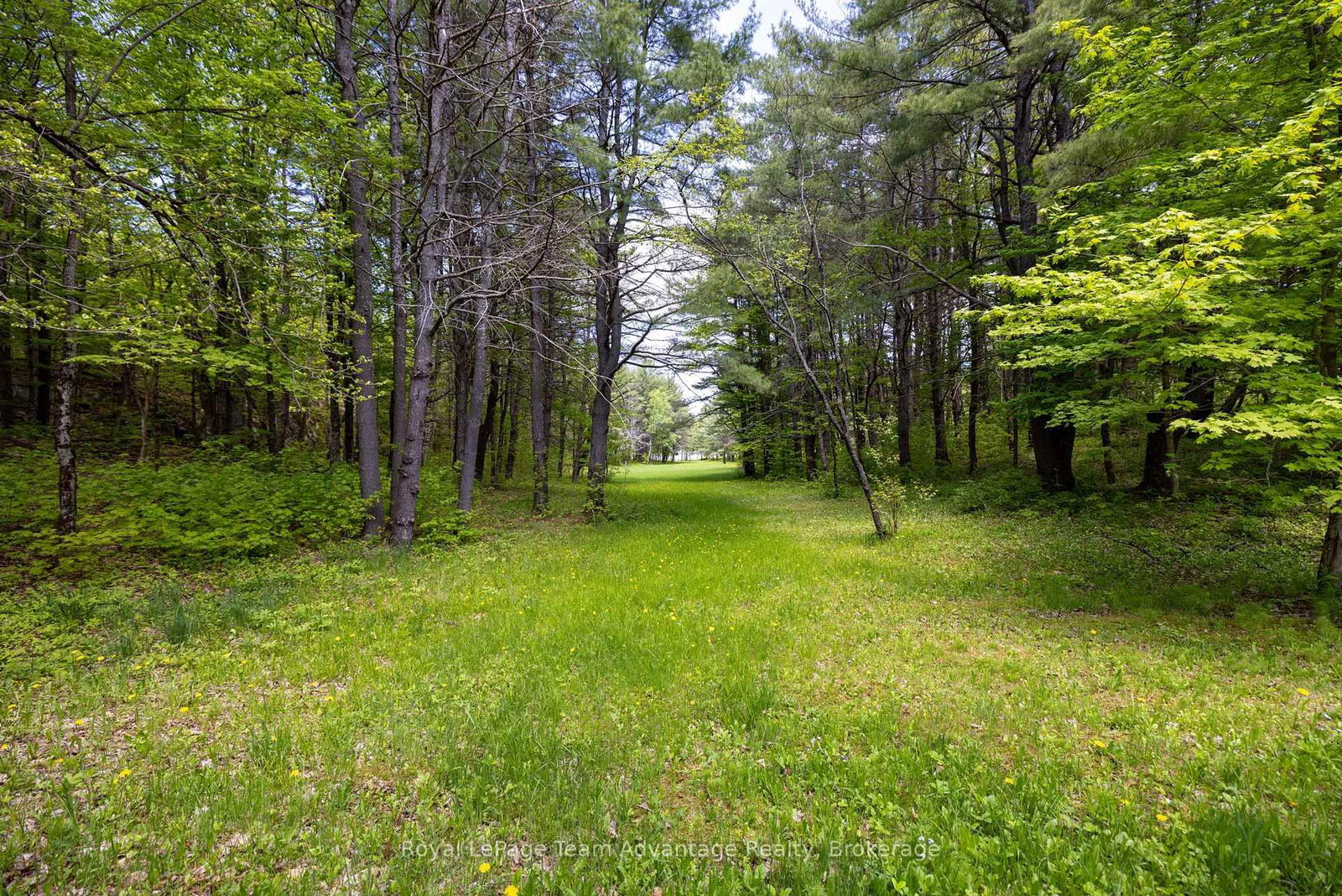 68 Lees Road • McKellar, ON photo 45