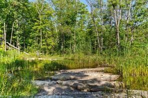 288 Rankin Lake Road • Seguin, ON photo 22