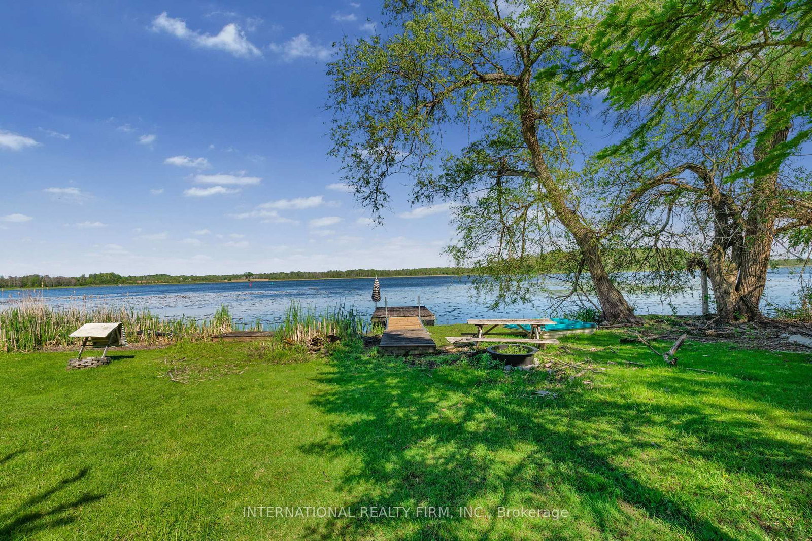 100 O'reilly Lane • Kawartha Lakes, ON photo 36