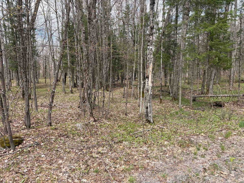 0 Dauncey Road, Magnetawan