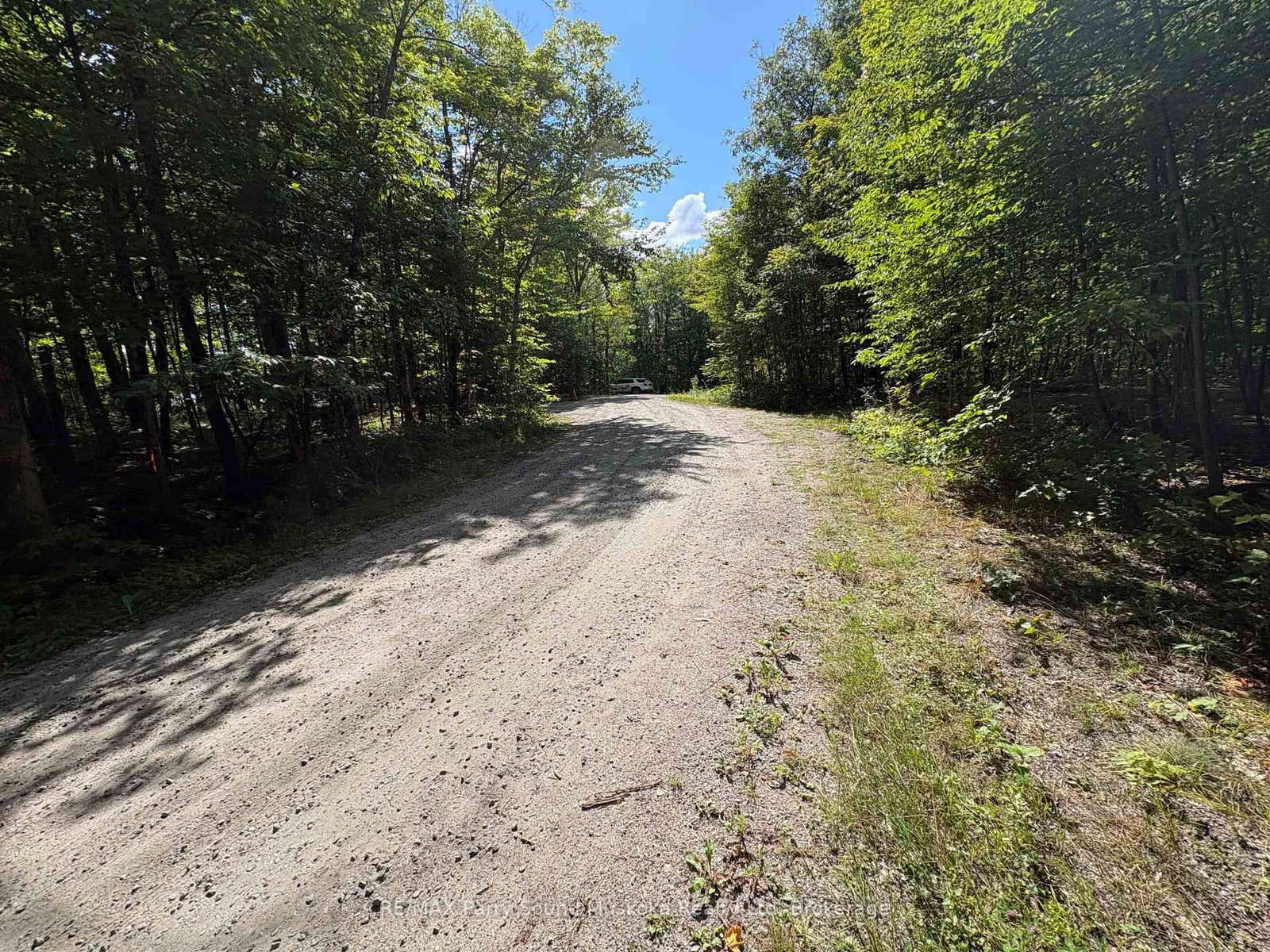 0 Dauncey Road • Magnetawan, ON photo 8