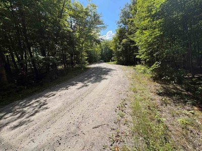 0 Dauncey Road • Magnetawan, ON photo 8
