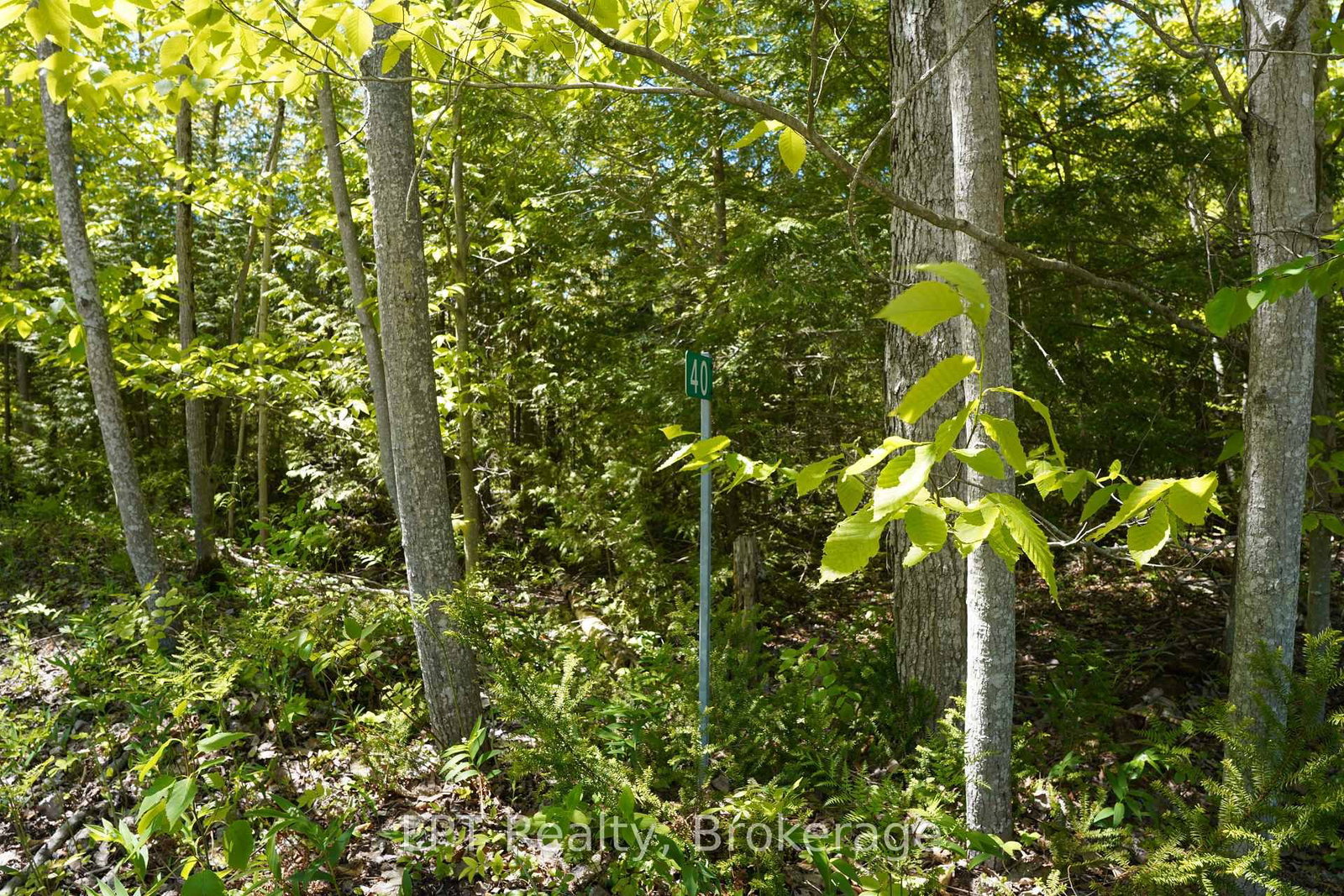40 Old Red Bay Road • South Bruce Peninsula, ON photo 10
