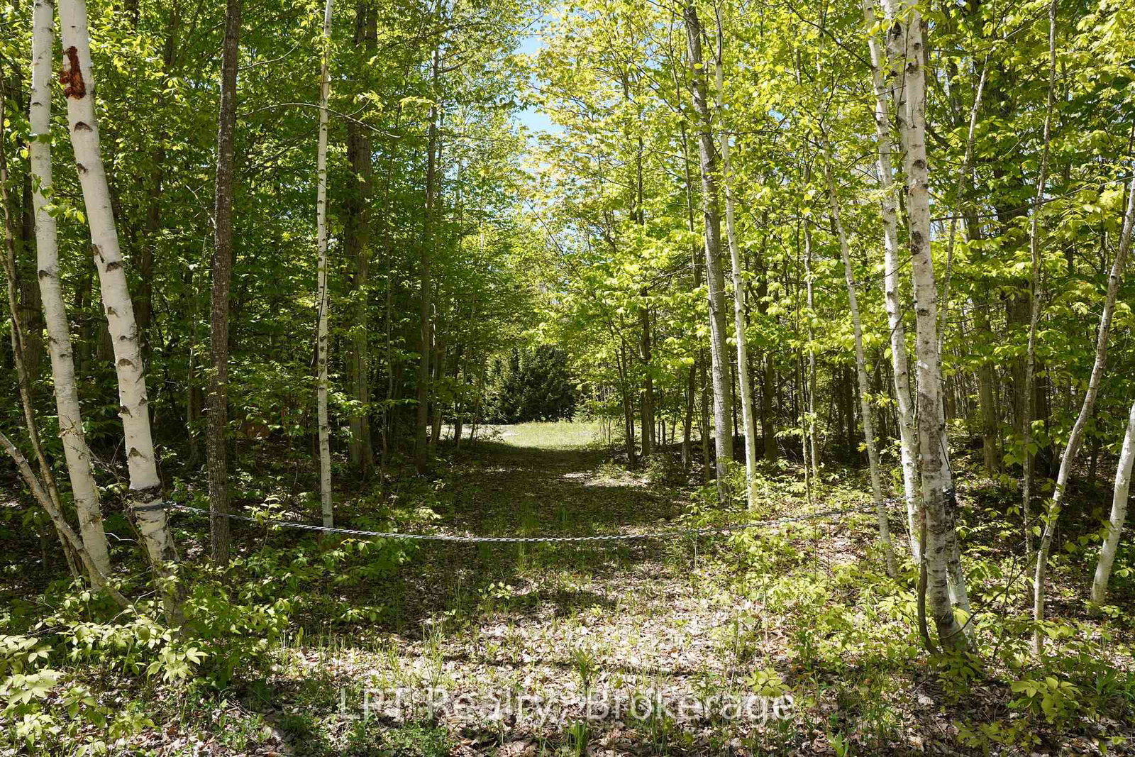 40 Old Red Bay Road • South Bruce Peninsula, ON photo 13