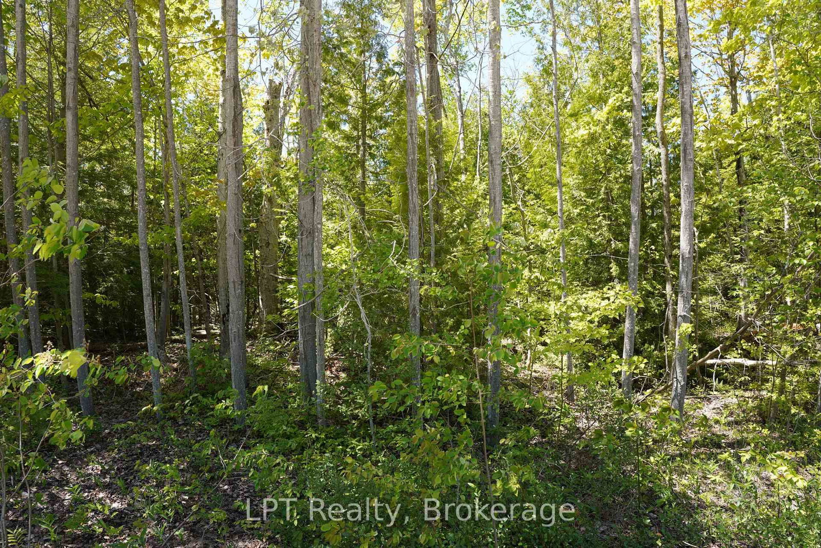40 Old Red Bay Road • South Bruce Peninsula, ON photo 8