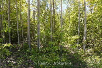 40 Old Red Bay Road • South Bruce Peninsula, ON photo 8