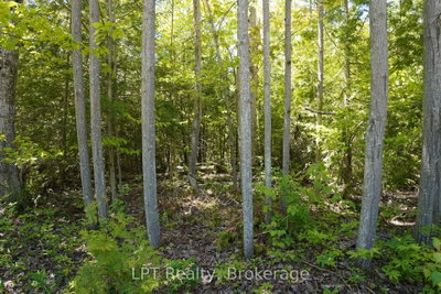 40 Old Red Bay Road • South Bruce Peninsula, ON photo 9