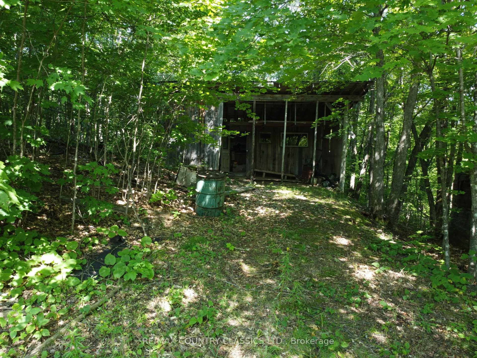 388 O'GRADY SETTLEMENT Road • Killaloe, ON photo 14
