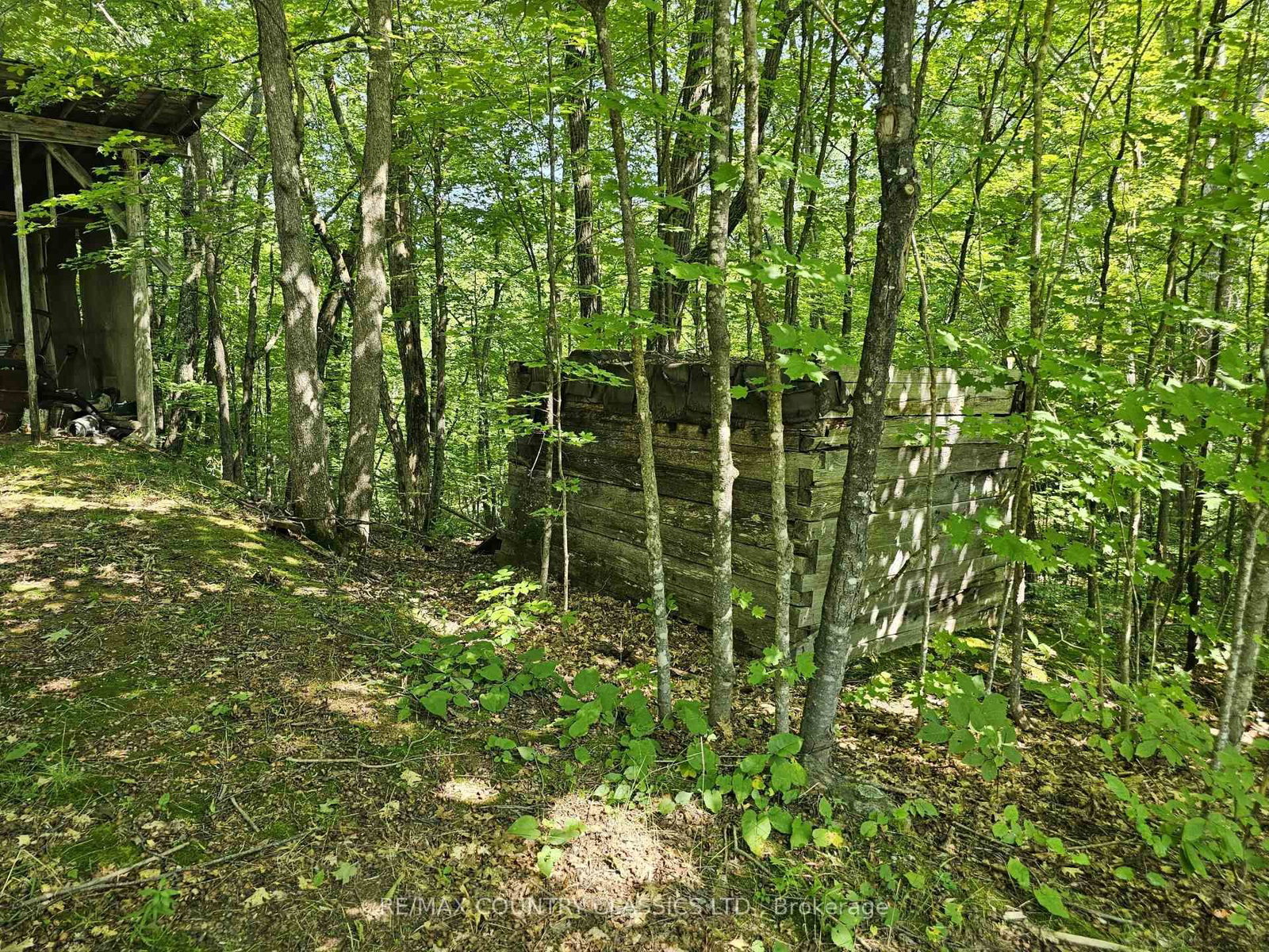 388 O'GRADY SETTLEMENT Road • Killaloe, ON photo 19