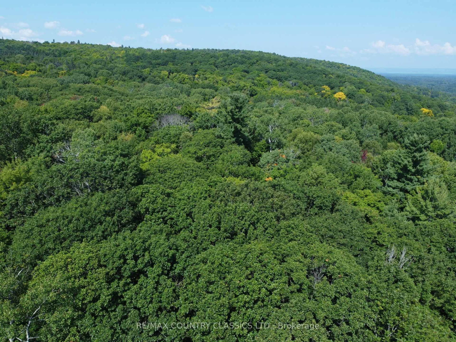 388 O'GRADY SETTLEMENT Road • Killaloe, ON photo 3