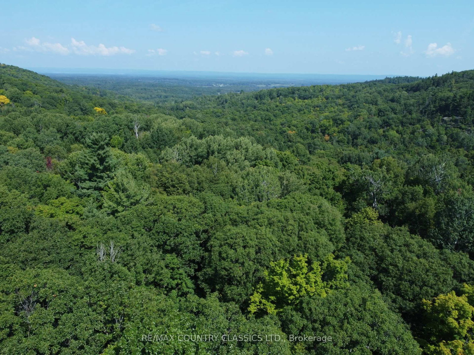 388 O'GRADY SETTLEMENT Road • Killaloe, ON photo 4