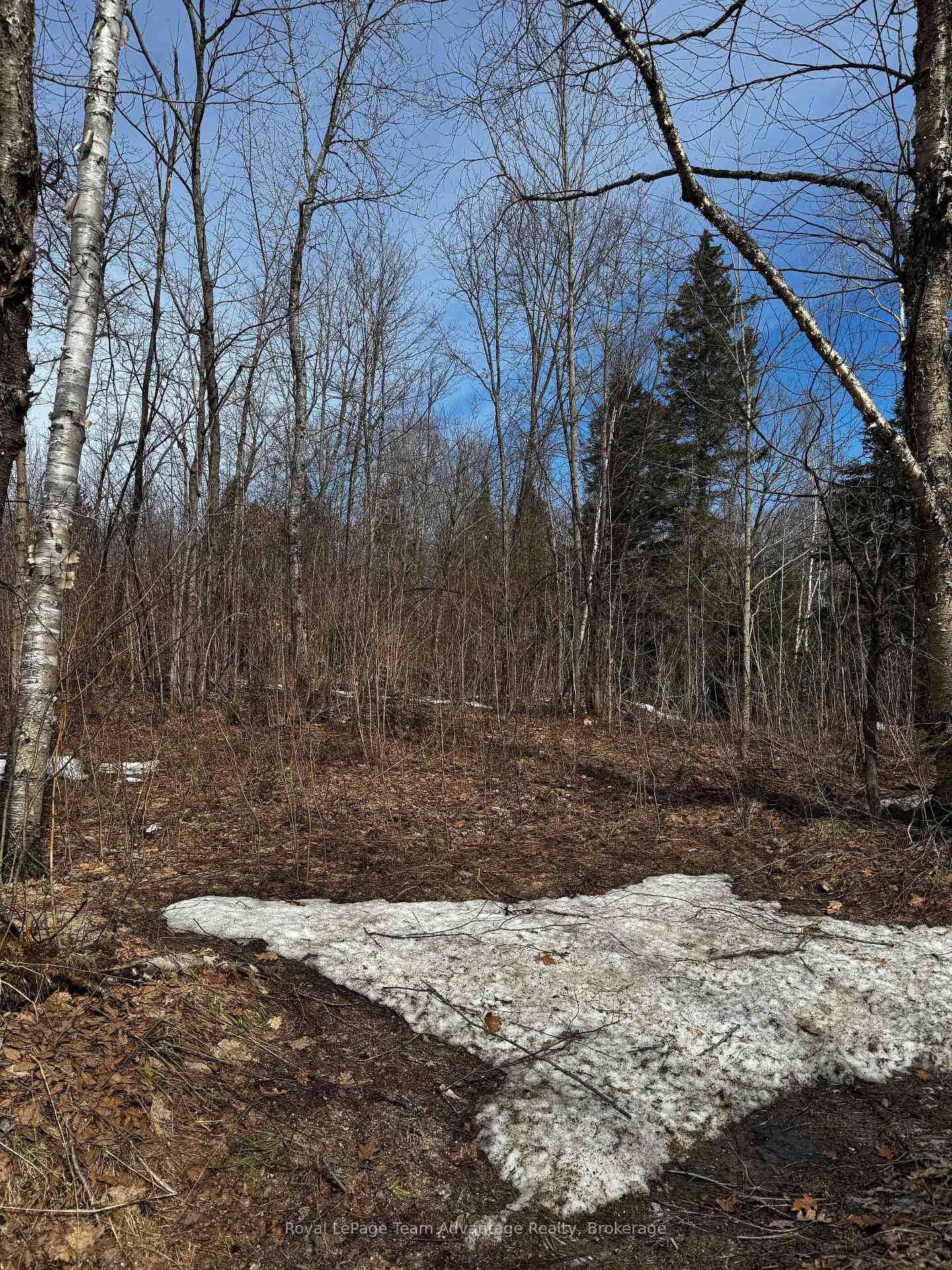 Lot 1 Lorimer Lake Road • Whitestone, ON photo 11