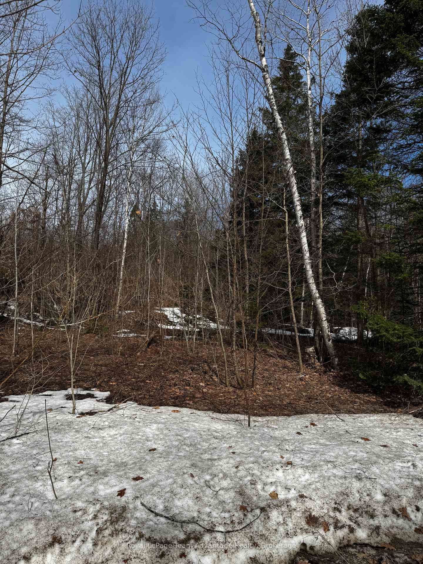 Lot 1 Lorimer Lake Road • Whitestone, ON photo 12