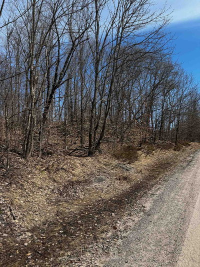 Lot 1 Lorimer Lake Road • Whitestone, ON photo 8