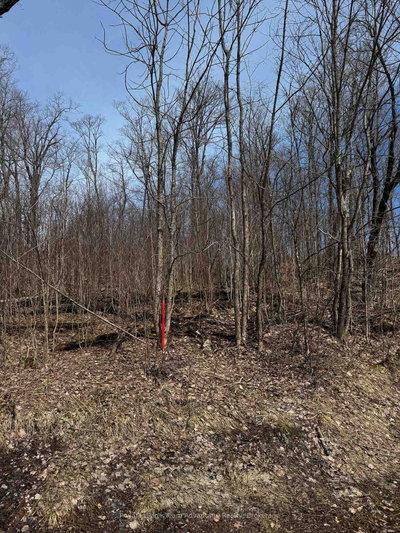 Lot 2 Lorimer Lake Road • Whitestone, ON photo 6