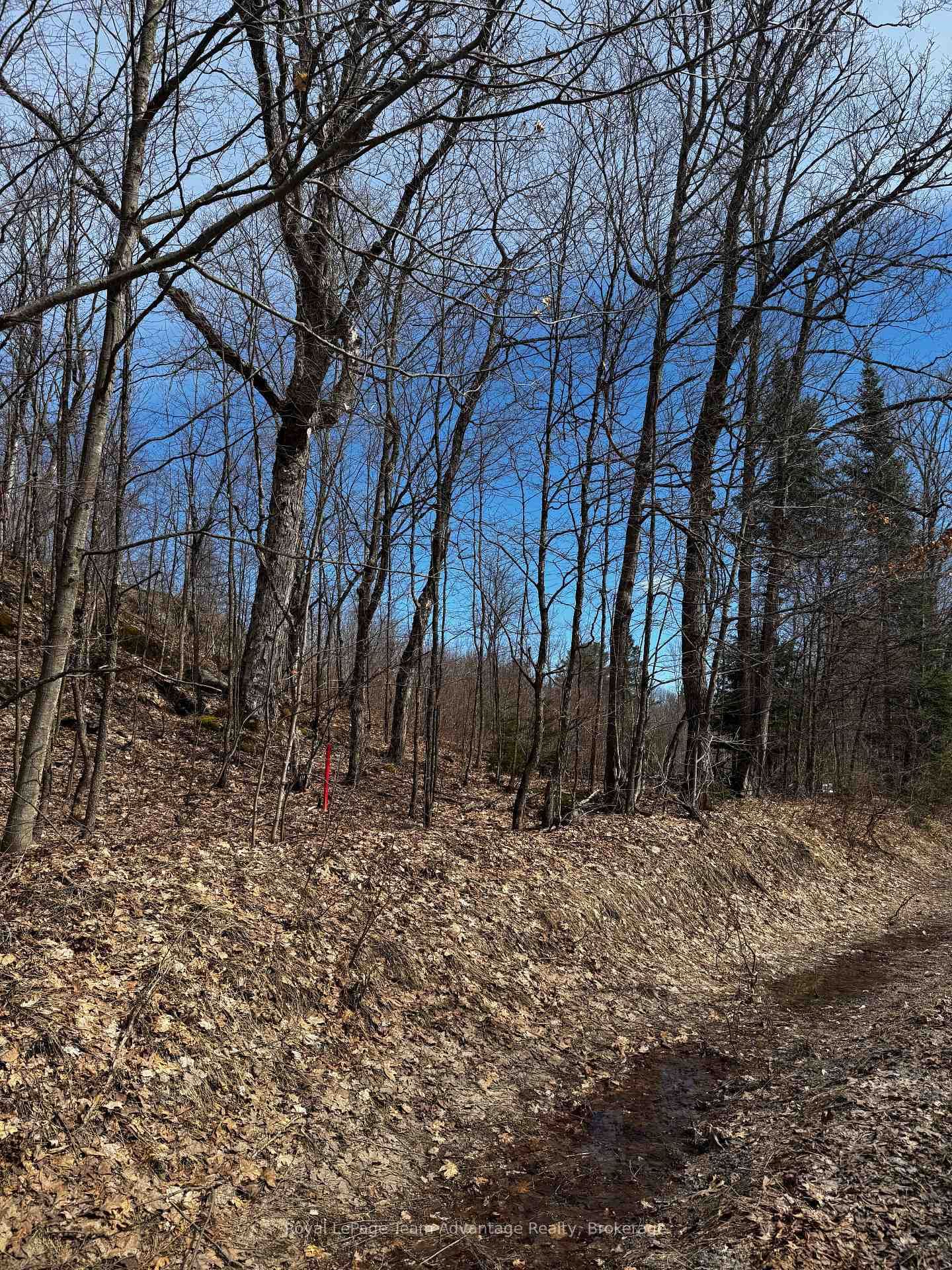 Lot 2 Lorimer Lake Road • Whitestone, ON photo 8