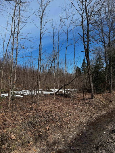 Lot 3 Lorimer Lake Road • Whitestone, ON photo 8